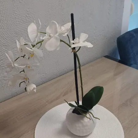 Alba - Three Bedroom With Loggia